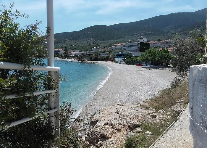 Apartman Zavitsa